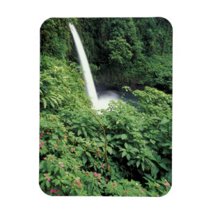 CA, Costa Rica. La Paz vattenfall och balsamin Magnet
