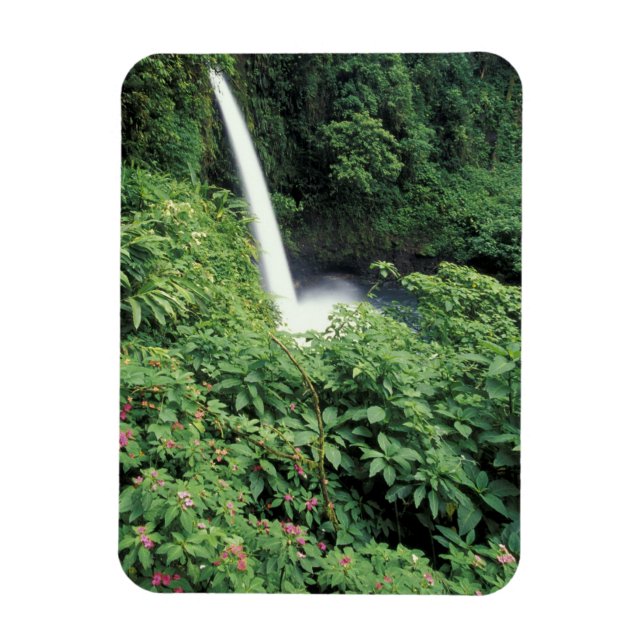 CA, Costa Rica. La Paz vattenfall och balsamin Magnet (Vertikal)