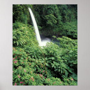 CA, Costa Rica. La Paz vattenfall och balsamin Poster