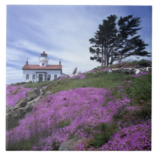 CA, Crescent City, Battery Point fyr med Kakelplatta