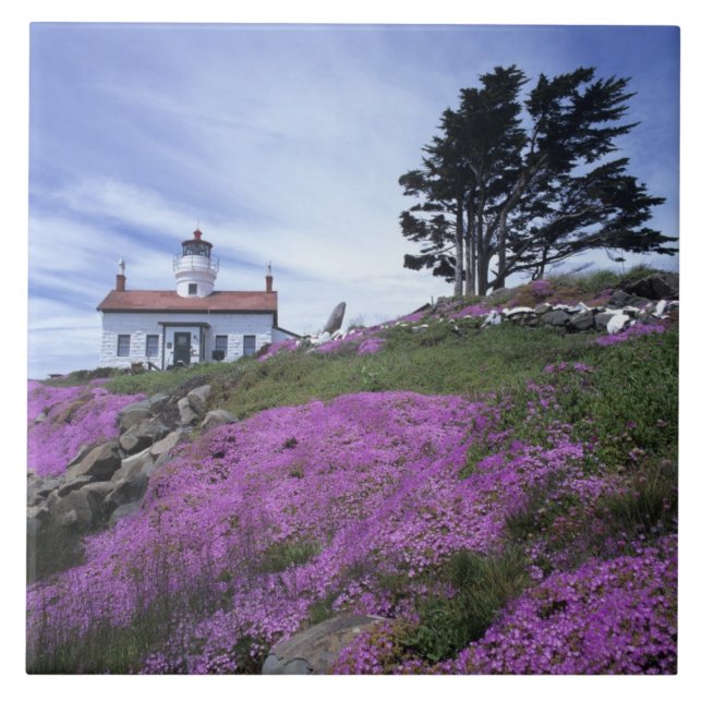 CA, Crescent City, Battery Point fyr med Kakelplatta (Framsidan)