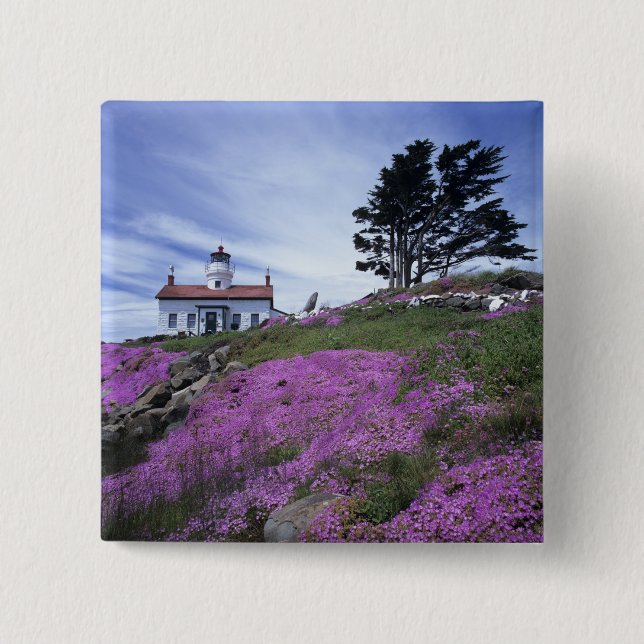 CA, Crescent City, Battery Point fyr med Knapp (Framsida)