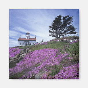 CA, Crescent City, Battery Point fyr med Magnet