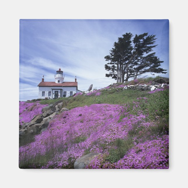CA, Crescent City, Battery Point fyr med Magnet (Framsidan)