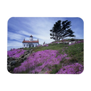 CA, Crescent City, Battery Point fyr med Magnet