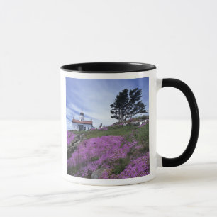 CA, Crescent City, Battery Point fyr med Mugg