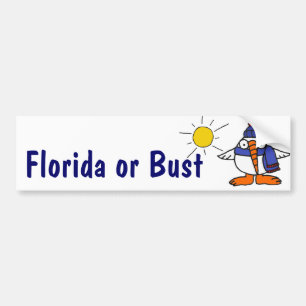 CA Florida eller pank Snowbirdbildekal Bildekal