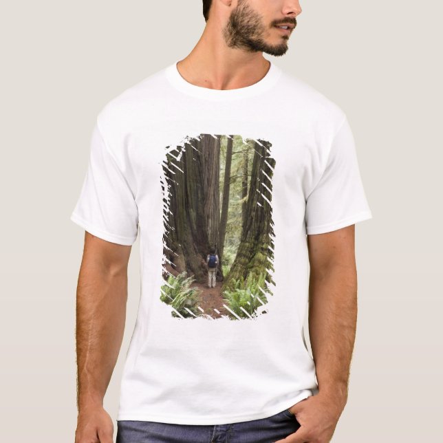 CA, Jedediah Smith Redwood State Park T-shirt (Framsida)