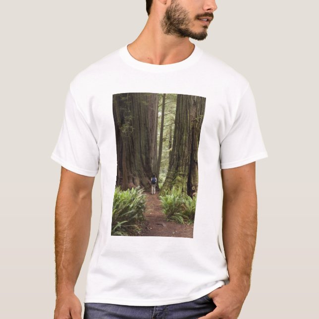 CA, Jedediah Smith Redwood State Park Tee Shirt (Framsida)