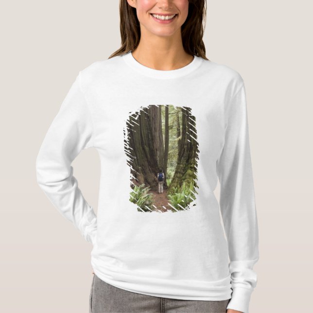 CA, Jedediah Smith Redwood State Park Tee Shirt (Framsida)