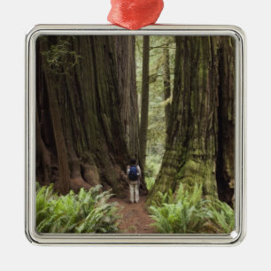 CA, Jedediah Smith Redwoods State Park, Julgransprydnad Metall