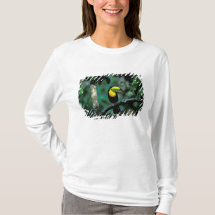 CA, Panama, Soberania NP, Näbbtukan Tee Shirt