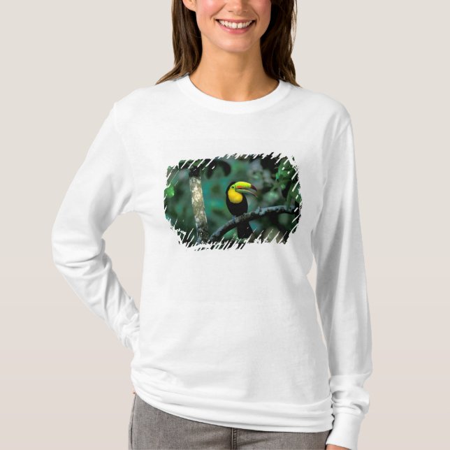 CA, Panama, Soberania NP, Näbbtukan Tee Shirt (Framsida)