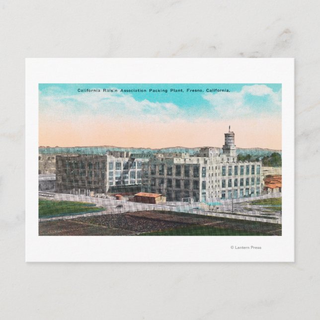 CA Raisin Association Packing Plant Vykort (Framsida)