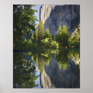 CA, Yosemite NP, El Capitan speglas i Merced Poster
