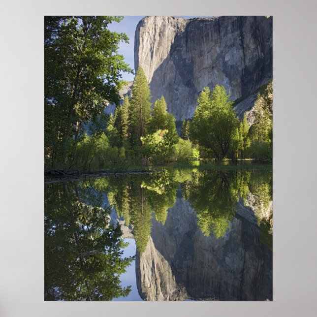CA, Yosemite NP, El Capitan speglas i Merced Poster (Framsidan)