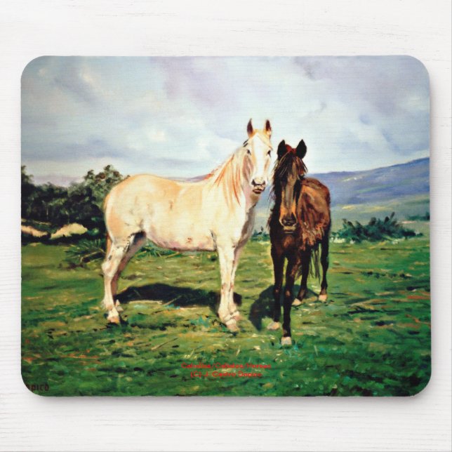 Caballos/Cabalos/Horses Musmatta (Framsidan)