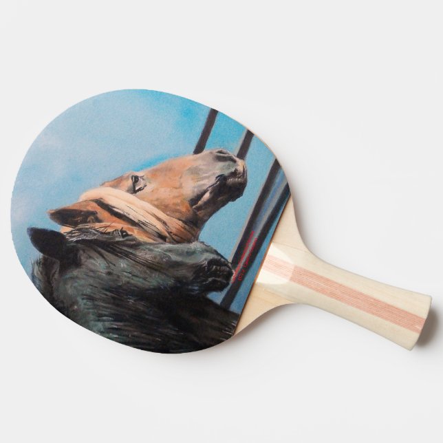 Caballos/Cabalos/Horses Pingisracket (Sidan)