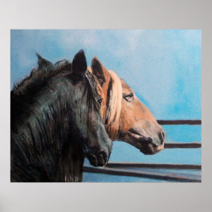 Caballos/Cabalos/Horses Poster