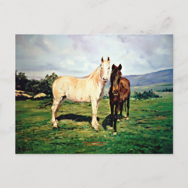 Caballos/Cabalos/Horses Vykort (Framsida)