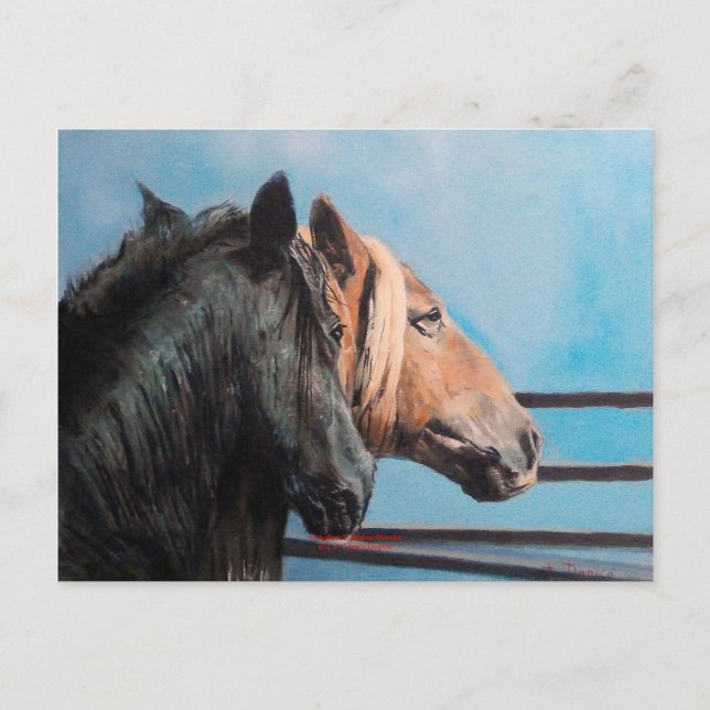 Caballos/Cabalos/Horses Vykort (Framsida)