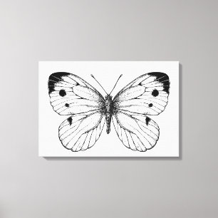 Cabbage butterfly canvastryck