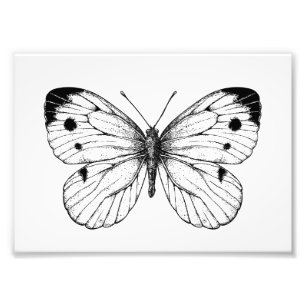 Cabbage butterfly fototryck