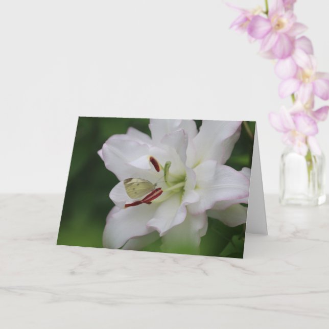 Cabbage White Butterfly on Lily Photo Blank Card Kort (Orkide)