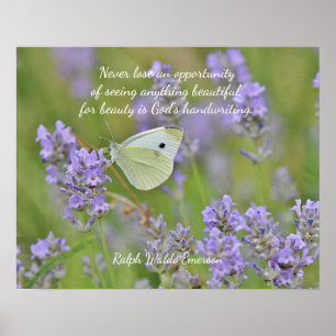 Cabbage White Butterfly Poster
