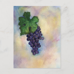 Cabernet Sauvignon Red Vin Graps vycard Vykort