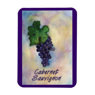 Cabernet Sauvignon Vin Grapinting Art Magnet