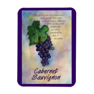 Cabernet Sauvignon Vin Grapinting Art Magnet