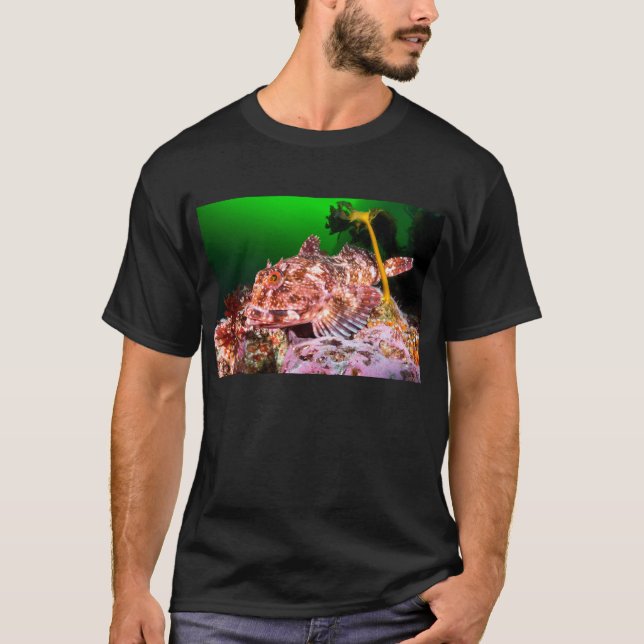 Cabezon Tee Shirt (Framsida)