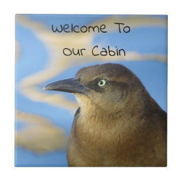 Cabin Welcome Blackbird Rustic Home Guest Kakelplatta