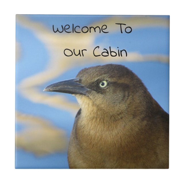 Cabin Welcome Blackbird Rustic Home Guest Kakelplatta (Framsidan)
