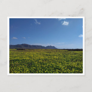 Cabo de Gata, Andalusia (Spanien) Vykort