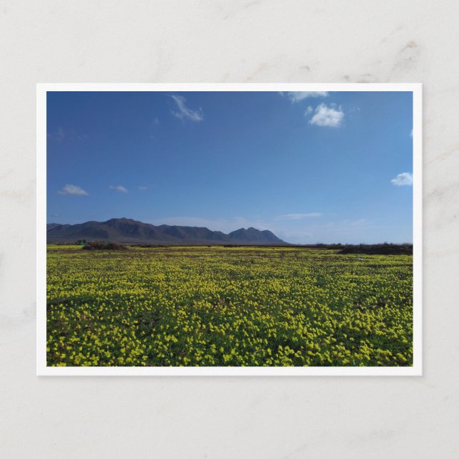 Cabo de Gata, Andalusia (Spanien) Vykort (Framsida)