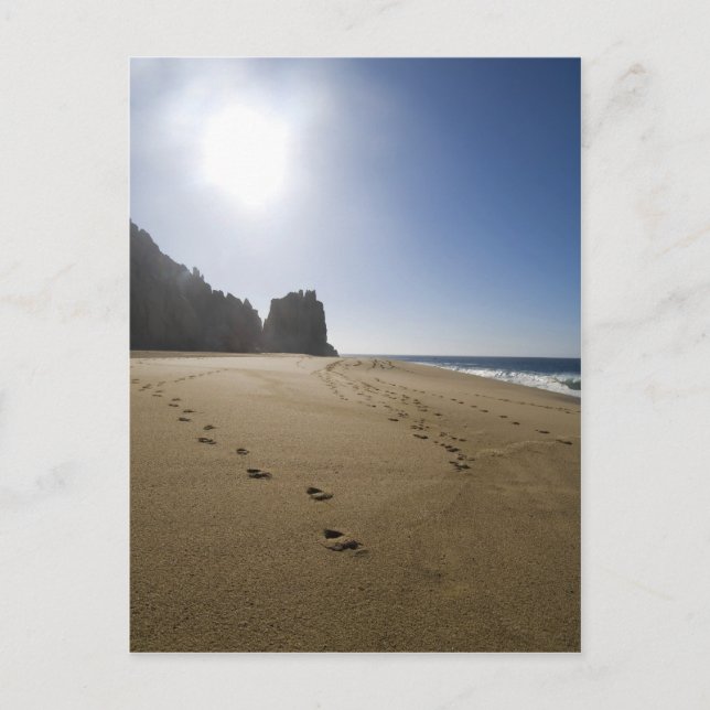 Cabo San Lucas strand 3 Vykort (Framsida)