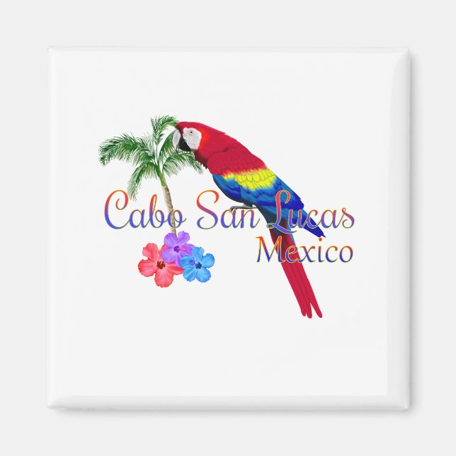 Cabo San Lucas Tropical Beach Magnet (Framsidan)