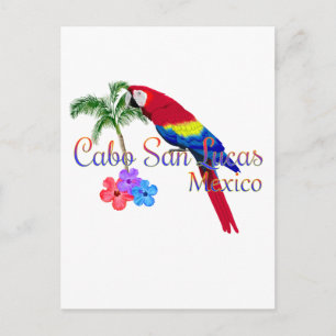 Cabo San Lucas Tropical Beach Vykort