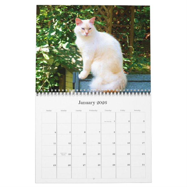 Caboodlekalender 2011 kalender (Jan 2026)