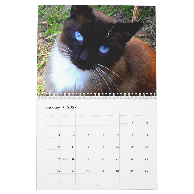 "Caboodleranch" kalender (Jan 2027)