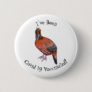 Cabots tragopan bird tecknad illustration knapp