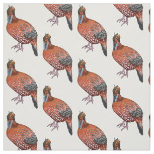 Cabots tragopan bird tecknad illustration tyg