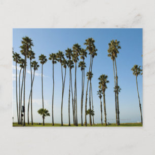 Cabrillo Avenue, Santa Barbara, Kalifornien Vykort