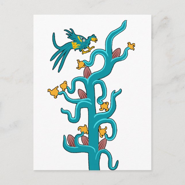 Cacao och Quetzal Vykort (Framsida)