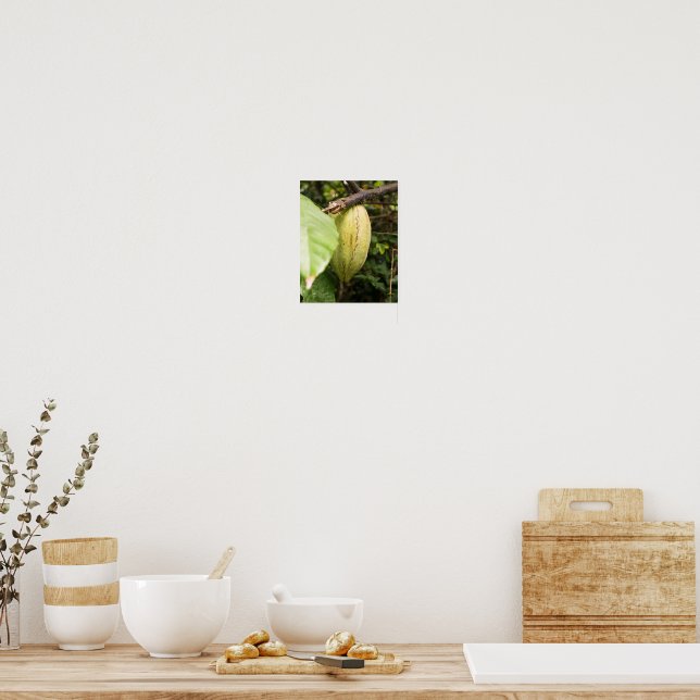 cacao pod poster (Kök)