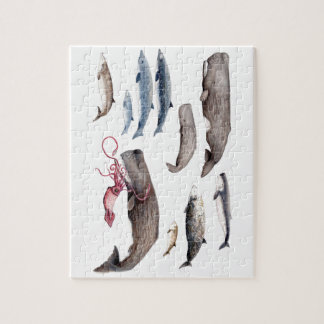 Cachalote y zifios: Ballenas de las profundidades Pussel