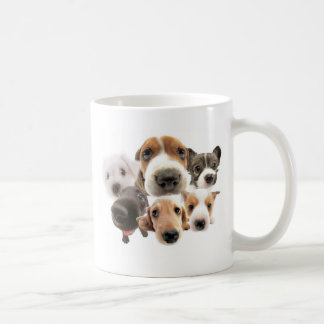 Cachorros Kaffemugg