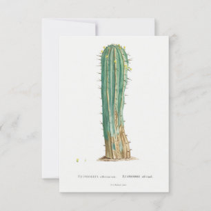 Cacti-anläggningens vintage
